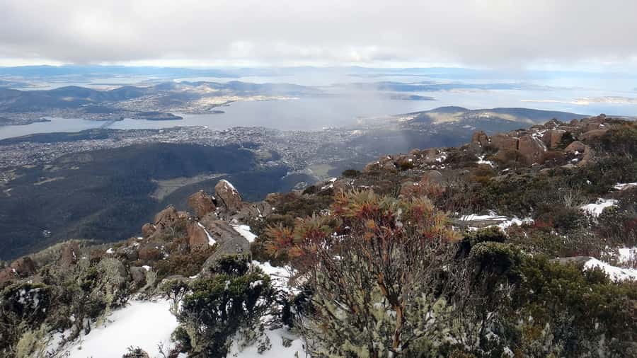 Kunanyi & Mt Wellington Explorer Bus: One-Way Bus Pass - Who should book this experience