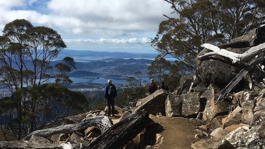 Kunanyi & Mt Wellington Explorer Bus: One-Way Bus Pass - From Brooke Street Pier to 1,270 meters