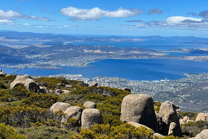 kunanyi/Mt Wellington Explorer Bus- Return Tour (2.5 hours) - Fern Tree Park for a gentler stop