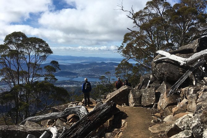 kunanyi/Mt Wellington Explorer Bus- Return Tour (2.5 hours) - The Springs and its walking tracks