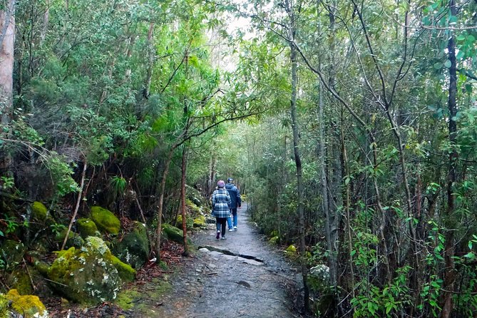 kunanyi/Mt Wellington Explorer Bus- Return Tour (2.5 hours) - What the guides add to the ride