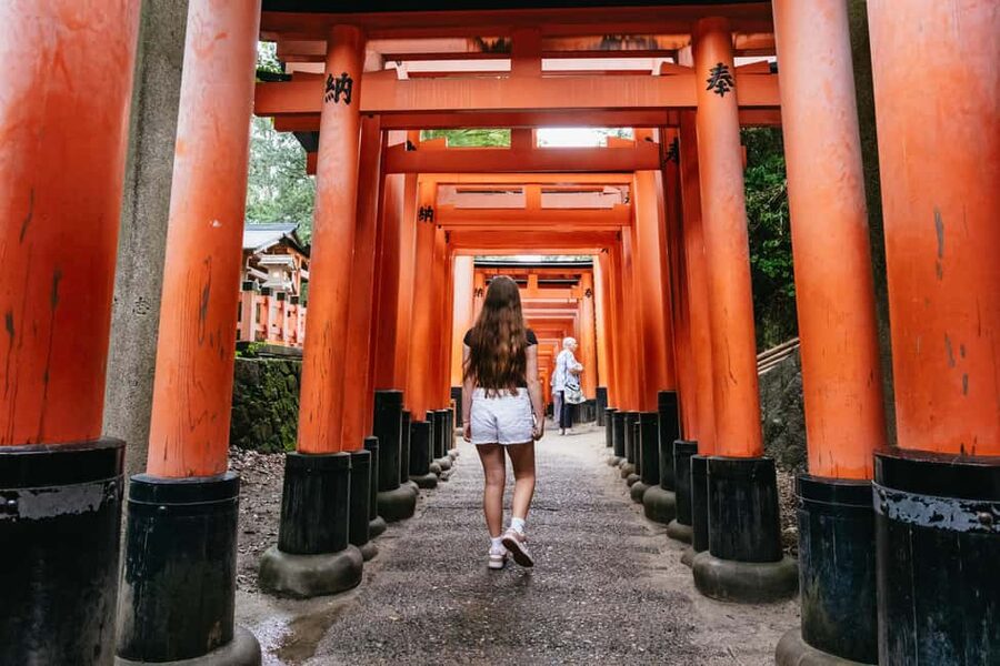 Kyoto: Full-Day Guided Bus Tour to Top Highlights & Tickets - Arashiyama Bamboo Grove starts the day