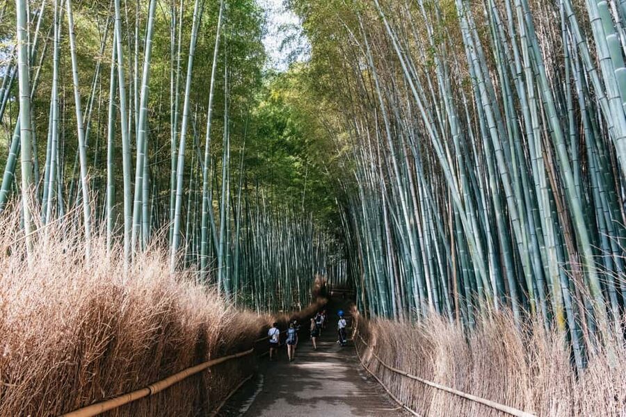 Kyoto: Full-Day Guided Bus Tour to Top Highlights & Tickets - Fushimi Inari ends with freedom to explore