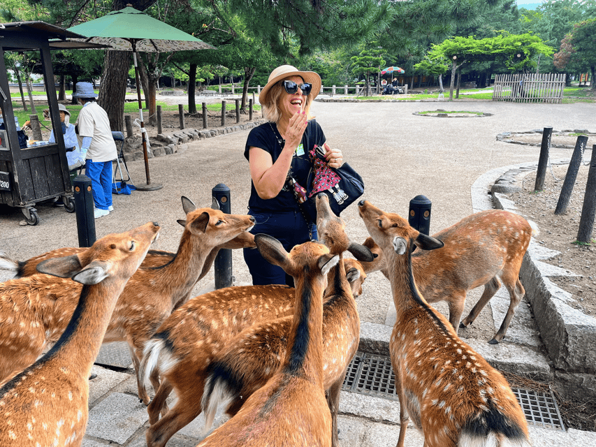 Kyoto: Nara & Traditional Matcha Experience Bus Tour - Key points before you book