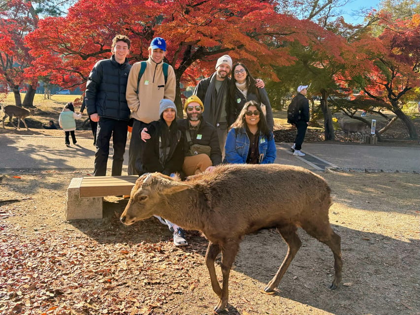 Kyoto: Nara & Traditional Matcha Experience Bus Tour - Riding south from Kyoto to Nara