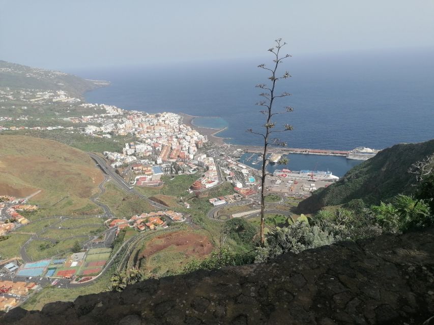 La Palma: Island Highlights Guided Bus Tour - Key points to know before booking