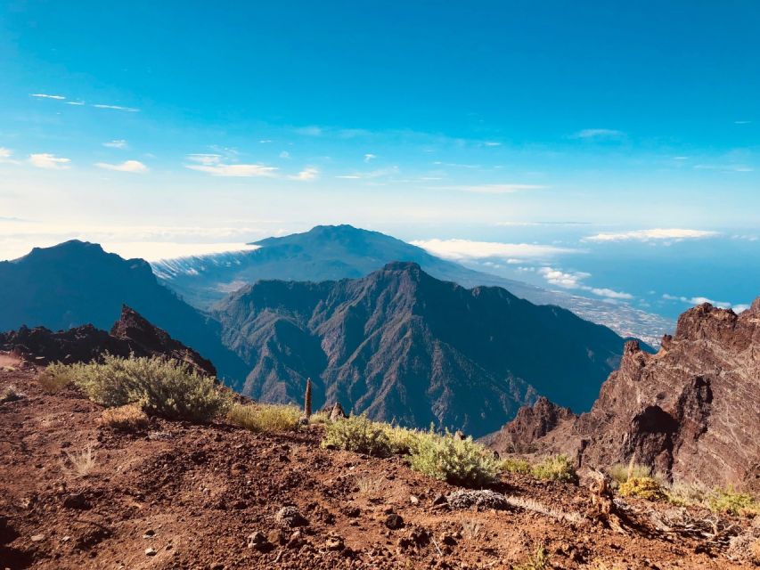 La Palma: Island Highlights Guided Bus Tour - Why this bus tour makes sense on La Palma