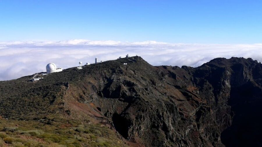 La Palma: Island Highlights Guided Bus Tour - Puntagorda market and the taste of local life