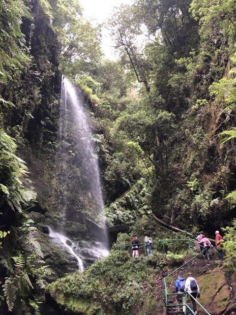 La Palma: North Island Bus Tour with Ron Aldea Distillery - Why La Palma’s north deserves a full day