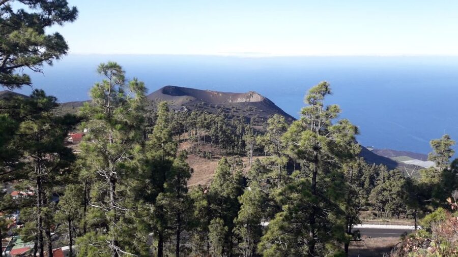 La Palma: San Antonio and Teneguia Volcanos Tour by 4x4 Bus - Key points about this volcanic south tour