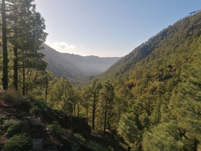 La Palma: San Antonio and Teneguia Volcanos Tour by 4x4 Bus - What the 4x4 bus is really like