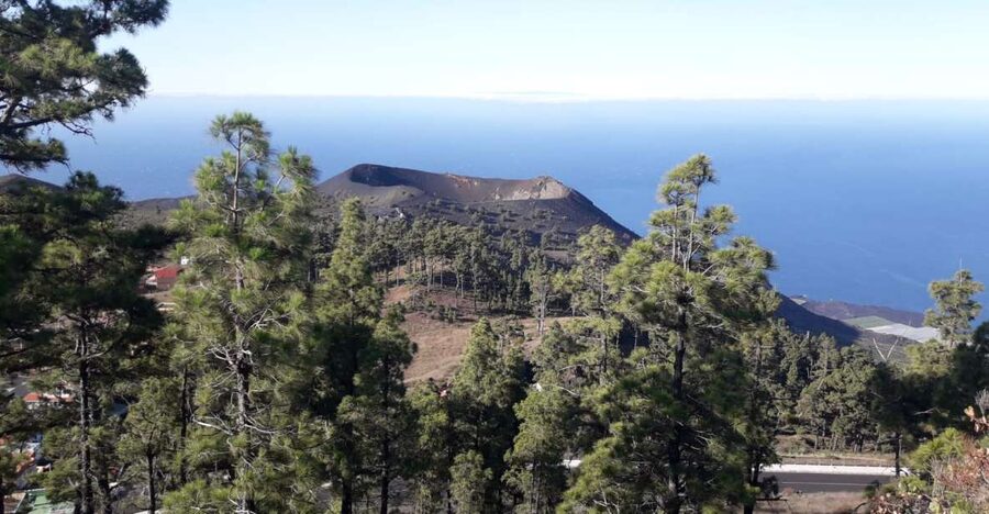 La Palma: San Antonio and Teneguia Volcanos Tour by 4x4 Bus - Guides, languages, and the pace of the day