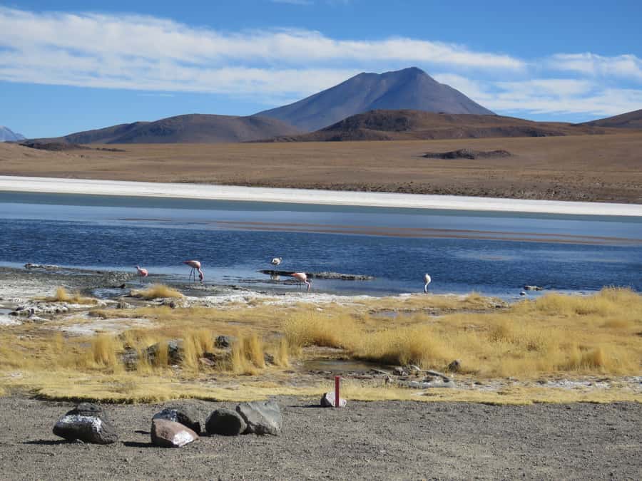 La Paz: 5-Day Uyuni Salt Flats by Bus - Food, water, and the two shared nights