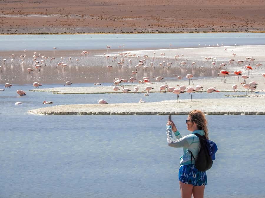 La Paz: Uyuni Salt Flats & Isla Incahuasi 5-Day Bus Tour - Day 3: caves, desert, lagoons, and flamingos