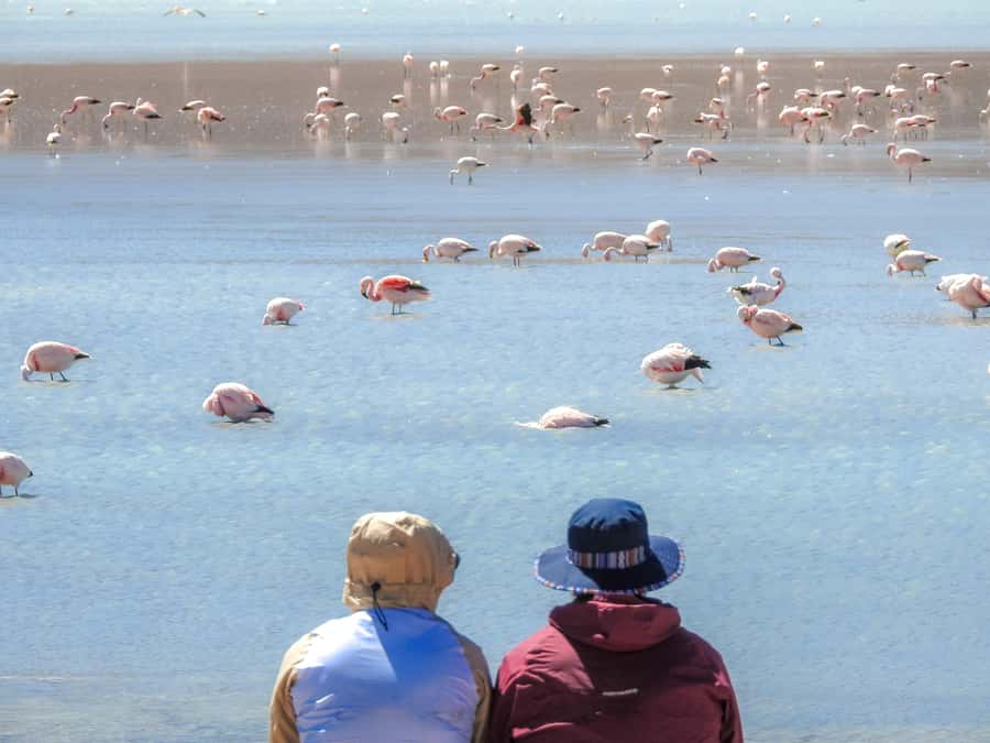 La Paz: Uyuni Salt Flats & Isla Incahuasi 5-Day Bus Tour - What the guide and group size add
