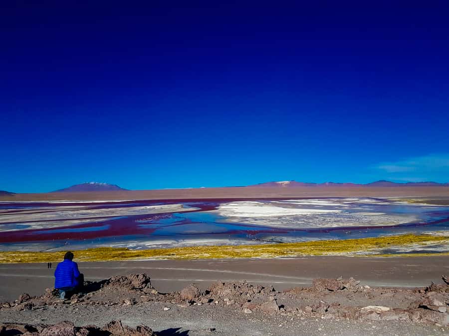 La Paz: Uyuni Salt Flats & Isla Incahuasi 5-Day Bus Tour - Leaving La Paz on the Todo Turismo bus