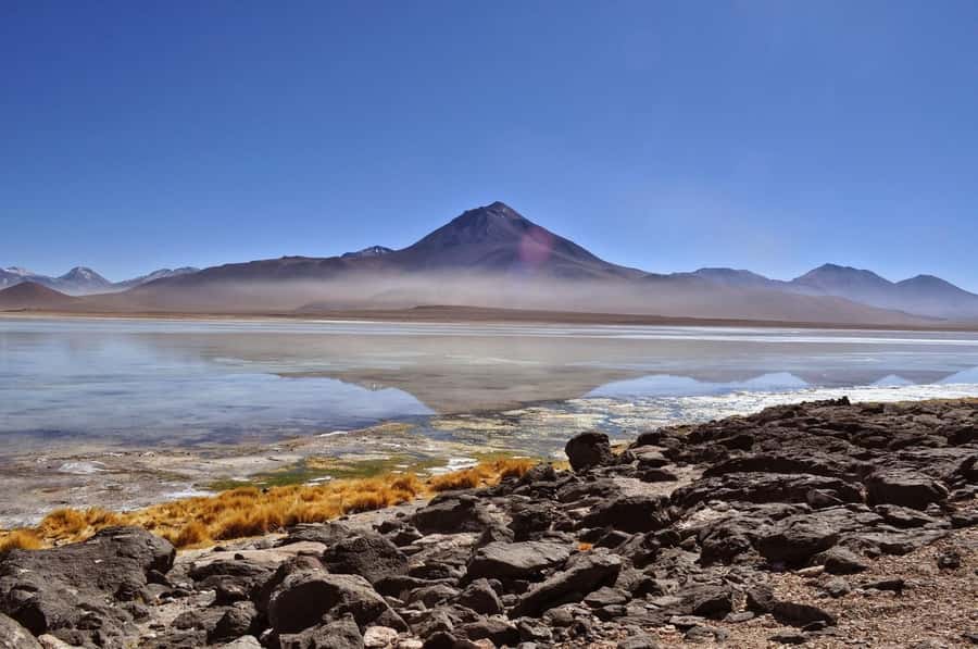 La Paz: Uyuni Salt Flats Tour by Bus - Incahuasi Island and its giant cacti