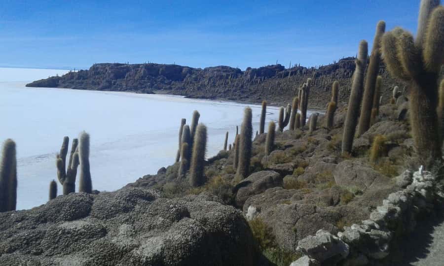 La Paz: Uyuni tour ending in Atacama Chile by bus. - Should you book it?