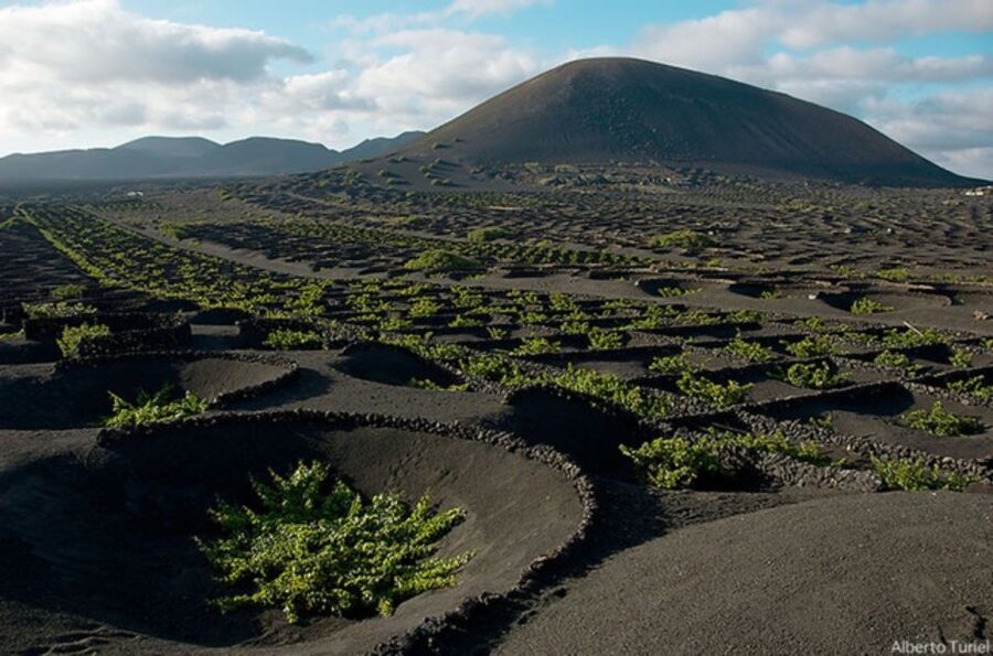 Lanzarote: Full Day Bus Tour with Scenic Views - At a glance: what matters most
