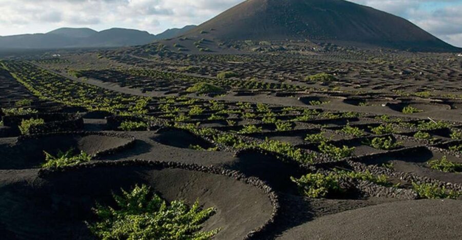 Lanzarote: Full Day Bus Tour with Scenic Views - Pickup logistics can shape your morning