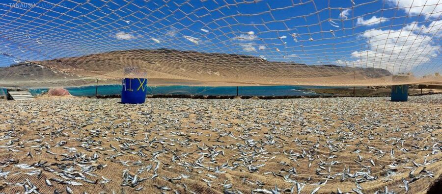 Lanzarote: Return Ferry to La Graciosa with Bus Pickup - Who will enjoy this day most?