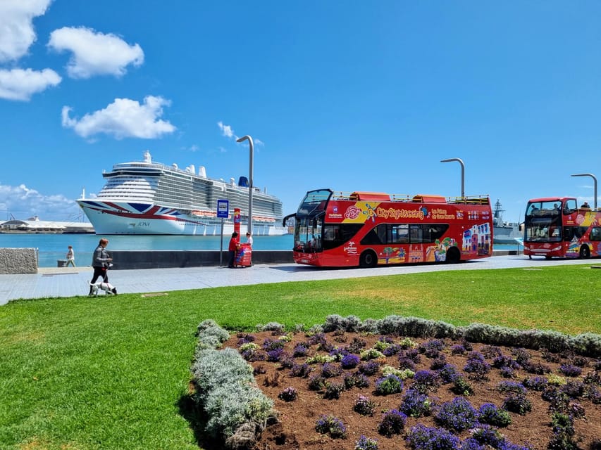 Las Palmas: City Sightseeing Hop-On Hop-Off Bus Tour - Audio guide, bus condition, and comfort