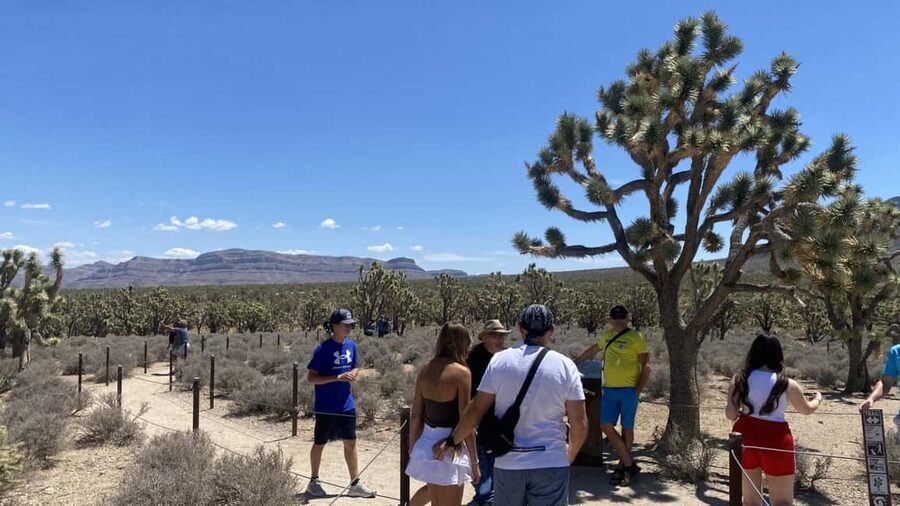 Las Vegas: Grand Canyon Helicopter & Ranch Adventure by Bus - Leaving Las Vegas for Hoover Dam and Lake Mead