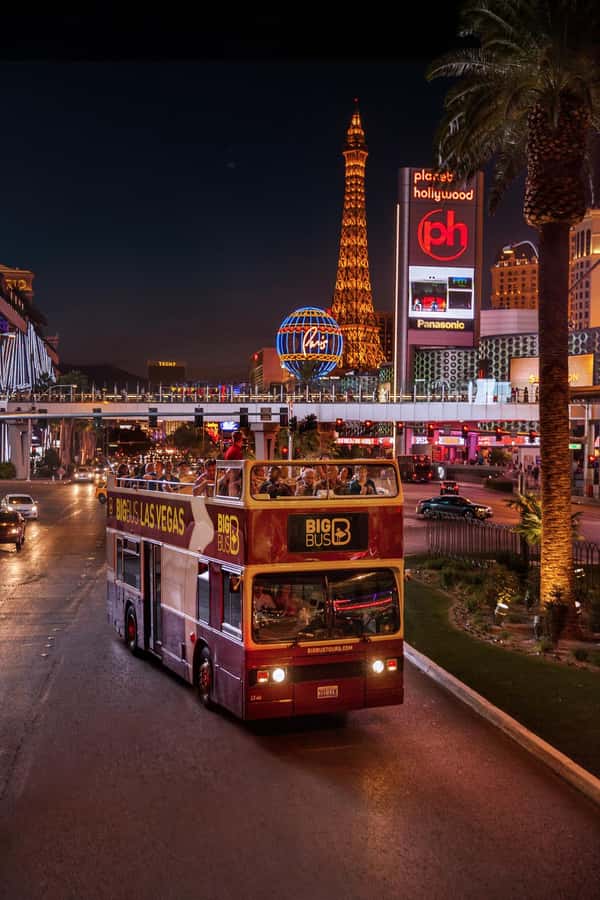 Las Vegas: Neon Museum Experience & Vegas Open-Top Bus Tour - What the $84 price includes