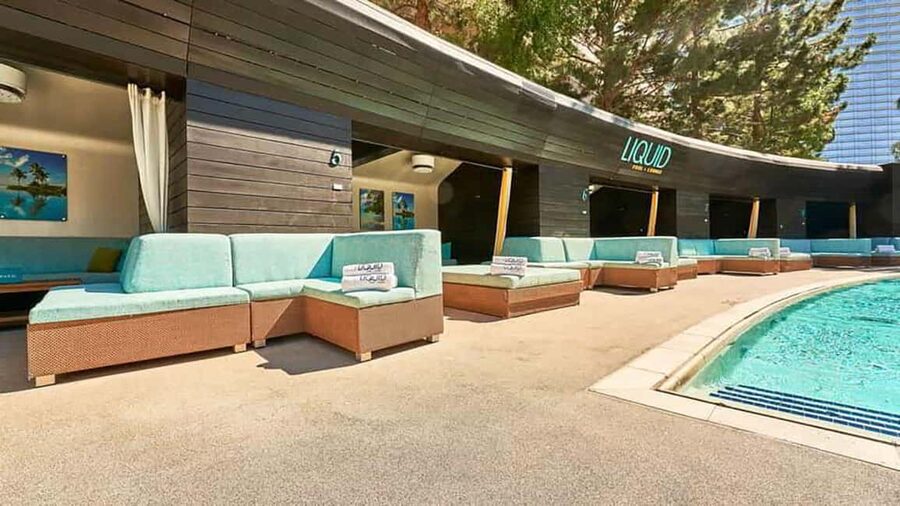 Las Vegas : Pool Crawl w/ Party Bus, Open Bar & VIP Entry - Who Will Enjoy This Pool Crawl Most?