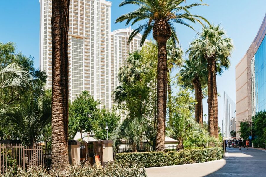 Las Vegas Strip: 3-Stop Pool Party Crawl with Party Bus - How to make the day go smoothly