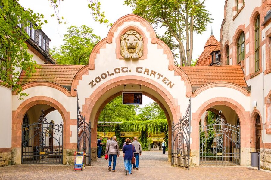 Leipzig: 1-Day Hop-On Hop-Off Bus and Leipzig Zoo Ticket - Booking details that matter