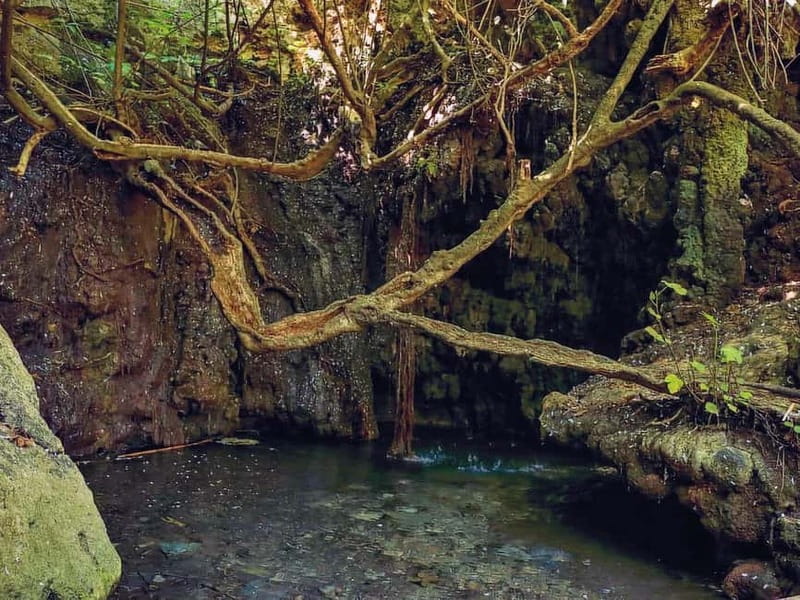 Limassol: Aphrodite Baths & Blue Lagoon Bus & Boat Day Trip - Starting from Limassol: pickup matters