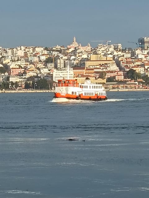 Lisbon: Belem, Jeronimos Monastery, and Coach Museum Tour - Is $94 a fair price?