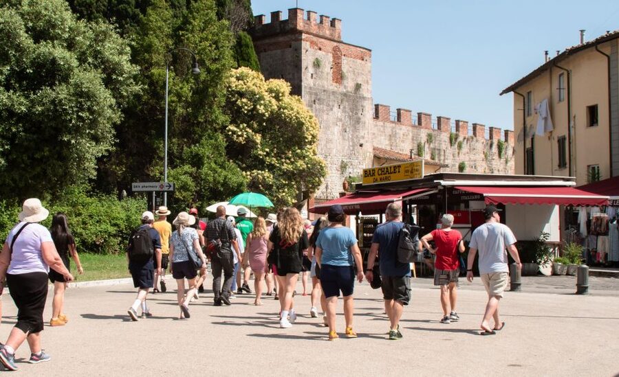 Livorno: Shore Excursion to Pisa and Livorno Bus Tour - Who should book this outing