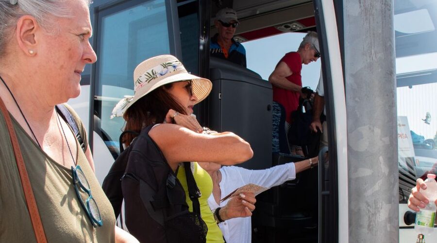 Livorno: Shore Excursion to Pisa and Livorno Bus Tour - What the $42 price includes