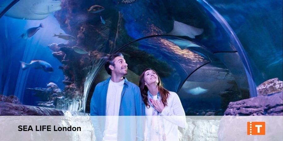 London City pass: Top attractions, Hop on Hop off & tours - The 24-hour bus and Thames cruise
