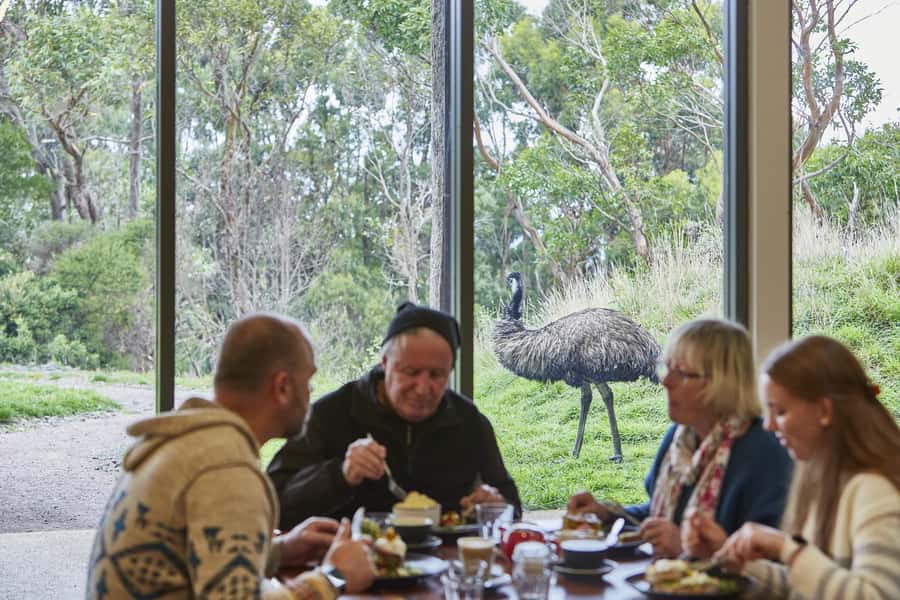 Luxe Bus Great Ocean Road Coastal Spectacular - The 12 Apostles and Loch Ard Gorge in 75 minutes