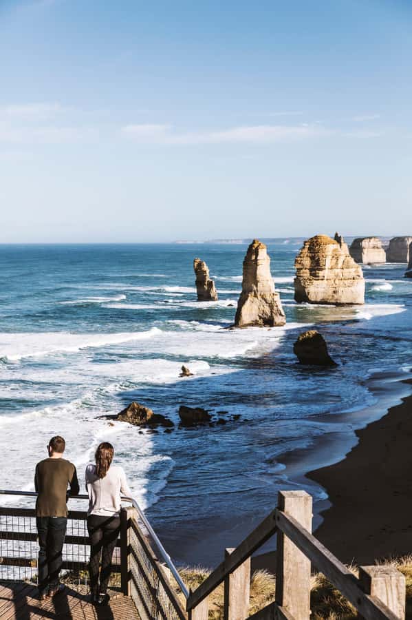 Luxe Bus Great Ocean Road Coastal Spectacular - Wildlife Wonders turns lunch into the main event