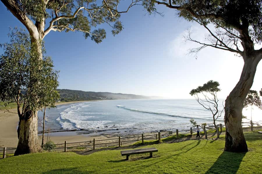 Luxe Bus Great Ocean Road Coastal Spectacular - Should you book the Luxe Bus Coastal Spectacular?