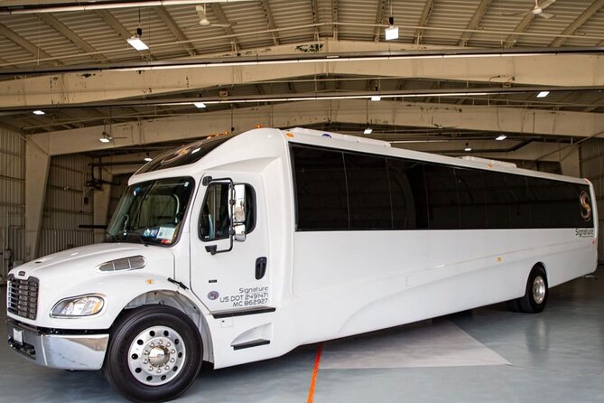 Luxury Minibus Chicago City Tour - Why this short Chicago tour works well
