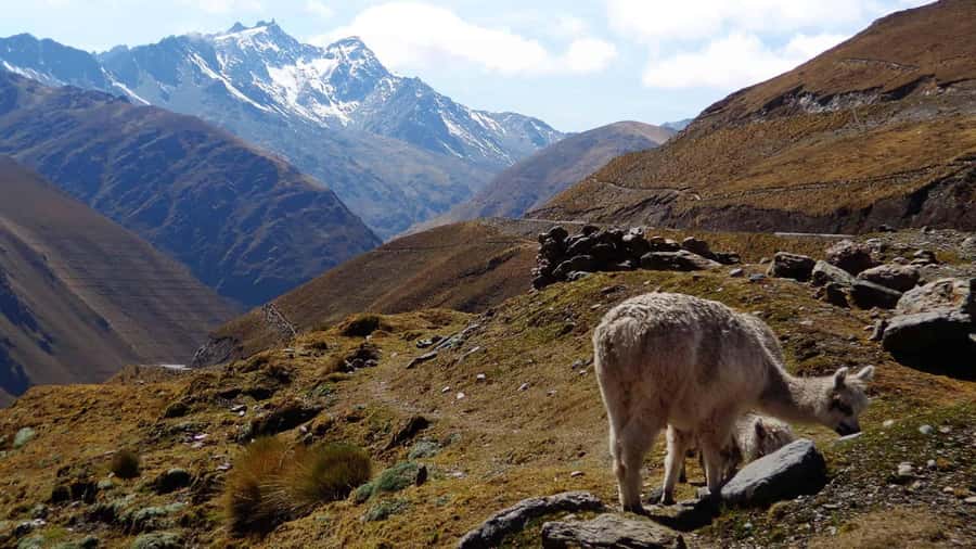 Machu Picchu 2 Days / 1 Night (By Bus) - Why this road route is different