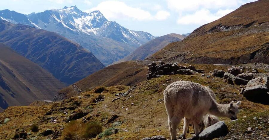 Machu Picchu 2 Days / 1 Night (By Bus) - Practical preparation for the two days