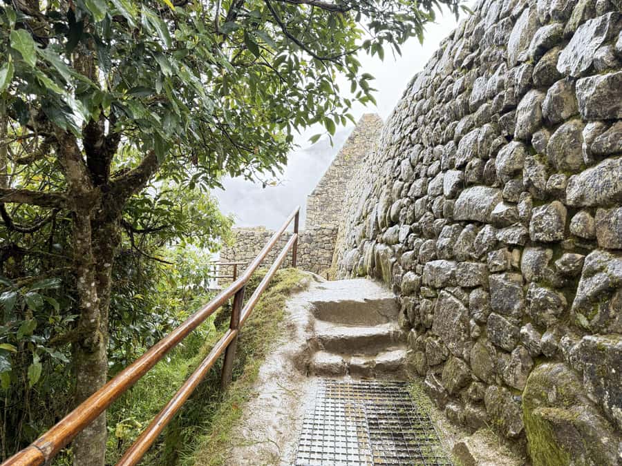 Machu Picchu Entry Ticket and Bus from Aguas Calientes - Why the terraces and mountain views matter