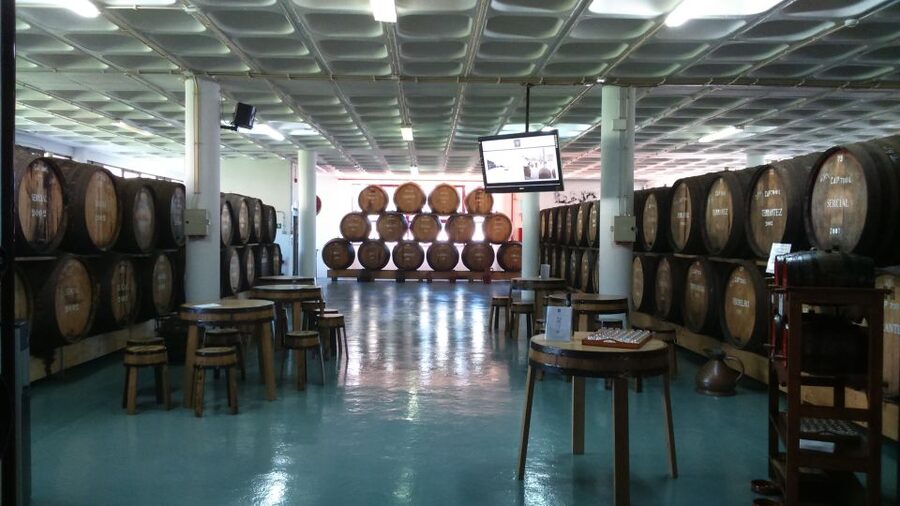 Madeira East or West Private Half-Day Tour by Open-Top Jeep - Key points to know before booking