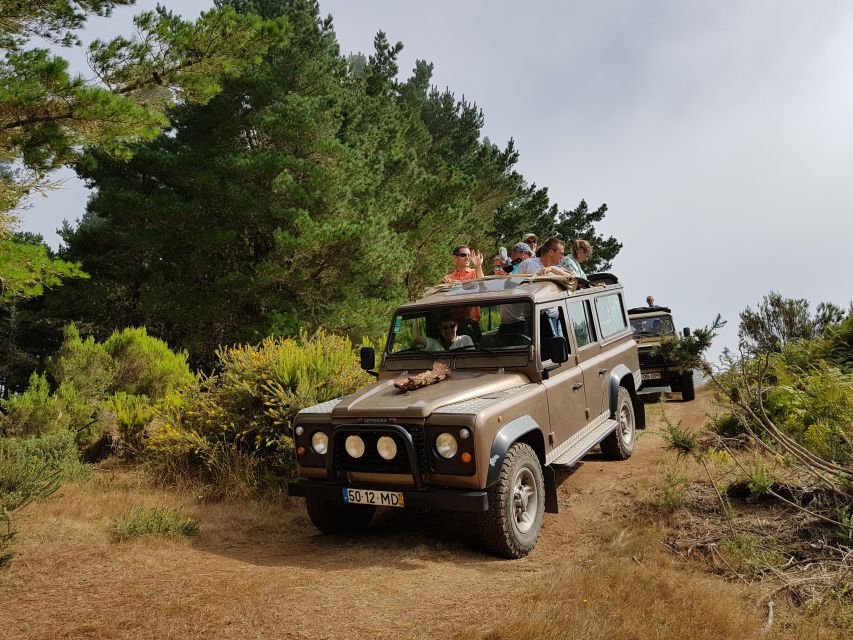 Madeira East or West Private Half-Day Tour by Open-Top Jeep - What the guides add to the outing