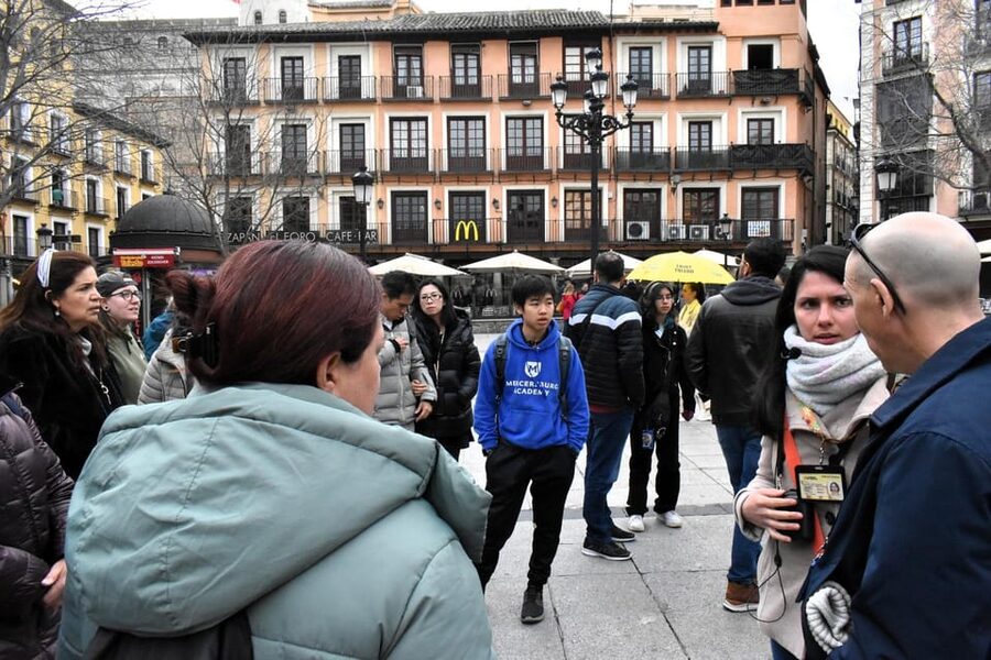 Madrid: Guided Tour to Toledo - Who should take this Toledo tour?