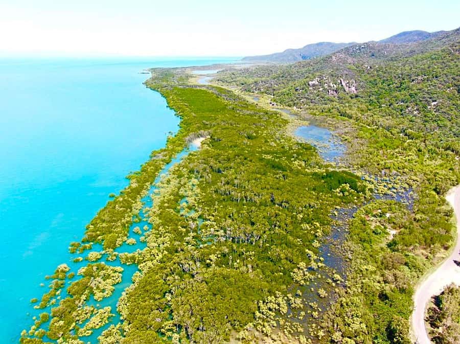 Magnetic Island: West Coast Eco Adventure Bus Tour - Why Magnetic Island’s west coast feels different