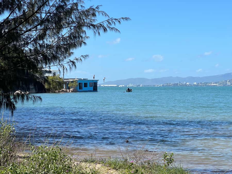 Magnetic Island: West Coast Eco Adventure Bus Tour - Bolger Bay Conservation Park and the best walking stop