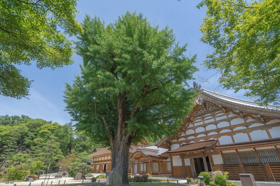 Magome-juku, Tsumago-juku & Ena-kyo 1d Bus Tour from Nagoya - Is $61 a fair price?