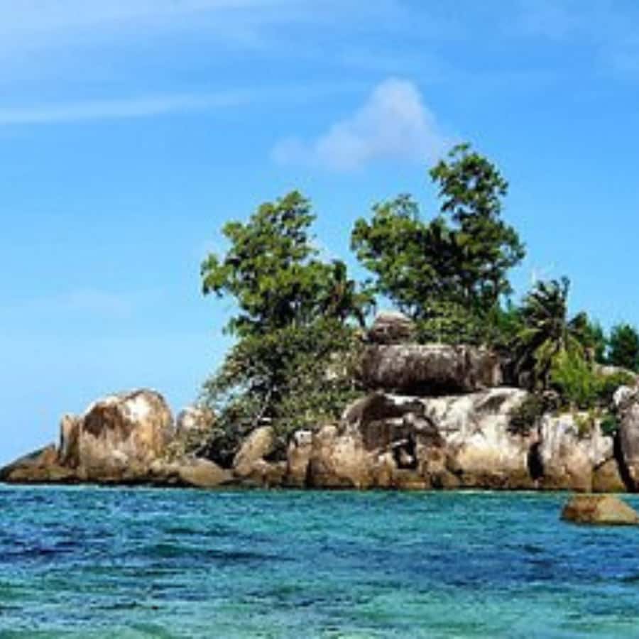 Mahe Discovery Bus Tour - Anse Intendance and the South Coast